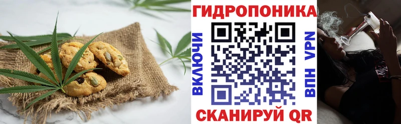 как найти наркотики  Солигалич  Еда ТГК конопля 
